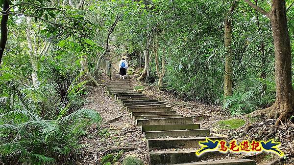 碧潭Hello Kitty%26;和美山土路山徑步道 (41).jpg