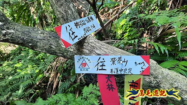 平溪紫萊山中央尖山臭頭山東勢格古道連走 (12).jpg