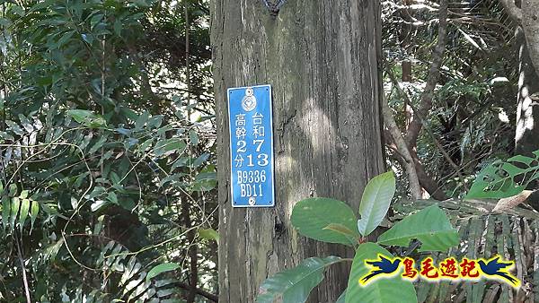 平溪紫萊山中央尖山臭頭山東勢格古道連走 (15).jpg