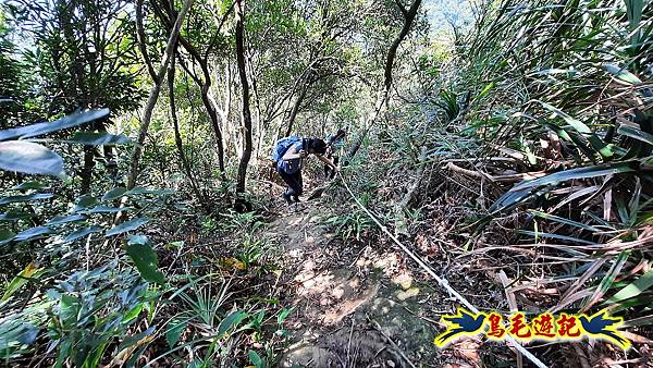 平溪紫萊山中央尖山臭頭山東勢格古道連走 (39).jpg