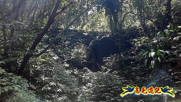 平溪紫萊山中央尖山臭頭山東勢格古道連走 (55).jpg