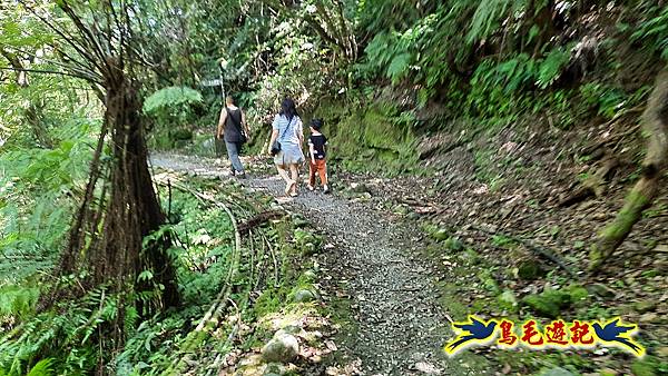 平溪紫萊山中央尖山臭頭山東勢格古道連走 (56).jpg