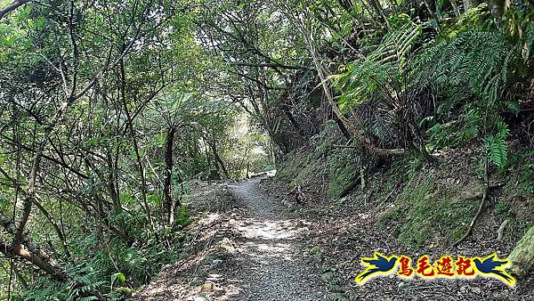 平溪紫萊山中央尖山臭頭山東勢格古道連走 (57).jpg