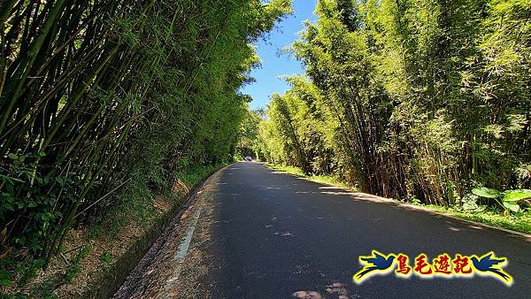 龜子山橋-信天宮-車埕-跤頭趺崙步道 (7).jpg