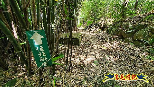 龜子山橋-信天宮-車埕-跤頭趺崙步道 (13).jpg