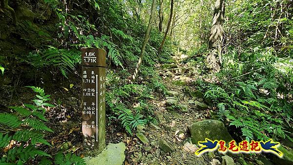 暖東峽谷-東勢大崙-西勢坑古道 (5).jpg 暖東峽谷-東勢大崙-西勢坑古道 (5).jpg