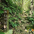 暖東峽谷-東勢大崙-西勢坑古道 (5).jpg