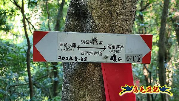暖東峽谷-東勢大崙-西勢坑古道 (8).jpg 暖東峽谷-東勢大崙-西勢坑古道 (8).jpg