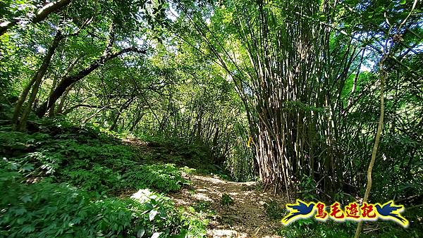 暖東峽谷-東勢大崙-西勢坑古道 (11).jpg 暖東峽谷-東勢大崙-西勢坑古道 (11).jpg