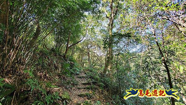 暖東峽谷-東勢大崙-西勢坑古道 (9).jpg 暖東峽谷-東勢大崙-西勢坑古道 (9).jpg