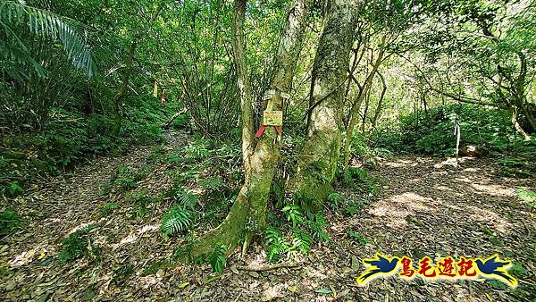 暖東峽谷-東勢大崙-西勢坑古道 (13).jpg 暖東峽谷-東勢大崙-西勢坑古道 (13).jpg