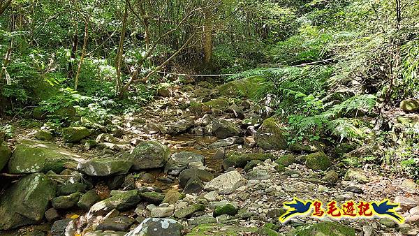 暖東峽谷-東勢大崙-西勢坑古道 (15).jpg 暖東峽谷-東勢大崙-西勢坑古道 (15).jpg