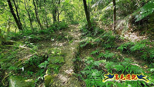 暖東峽谷-東勢大崙-西勢坑古道 (17).jpg 暖東峽谷-東勢大崙-西勢坑古道 (17).jpg