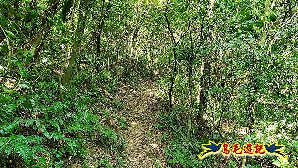 暖東峽谷-東勢大崙-西勢坑古道 (19).jpg 暖東峽谷-東勢大崙-西勢坑古道 (19).jpg
