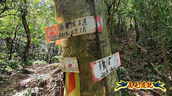 暖東峽谷-東勢大崙-西勢坑古道 (21).jpg 暖東峽谷-東勢大崙-西勢坑古道 (21).jpg
