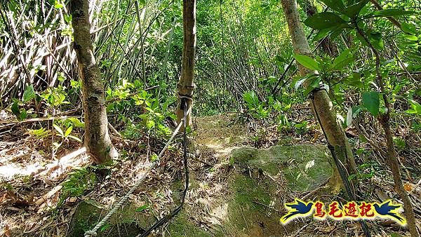 暖東峽谷-東勢大崙-西勢坑古道 (23).jpg 暖東峽谷-東勢大崙-西勢坑古道 (23).jpg