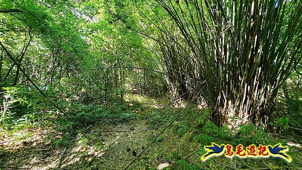 暖東峽谷-東勢大崙-西勢坑古道 (29).jpg 暖東峽谷-東勢大崙-西勢坑古道 (29).jpg