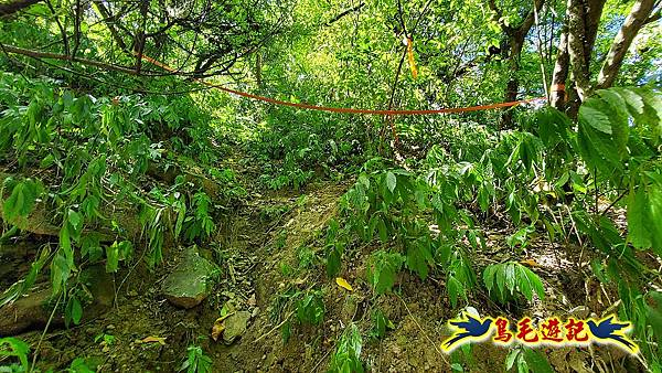 暖東峽谷-東勢大崙-西勢坑古道 (34).jpg 暖東峽谷-東勢大崙-西勢坑古道 (34).jpg