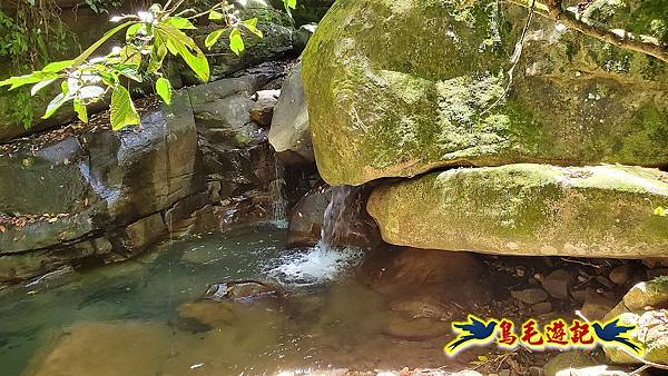 暖東峽谷-東勢大崙-西勢坑古道 (38).jpg 暖東峽谷-東勢大崙-西勢坑古道 (38).jpg