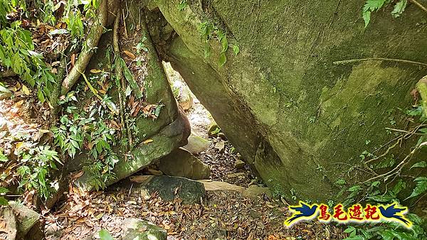 暖東峽谷-東勢大崙-西勢坑古道 (37).jpg 暖東峽谷-東勢大崙-西勢坑古道 (37).jpg