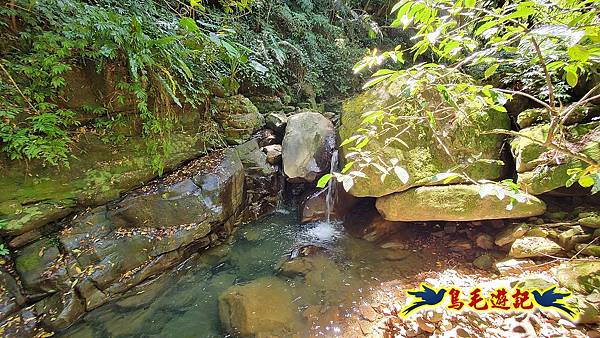 暖東峽谷-東勢大崙-西勢坑古道 (39).jpg 暖東峽谷-東勢大崙-西勢坑古道 (39).jpg