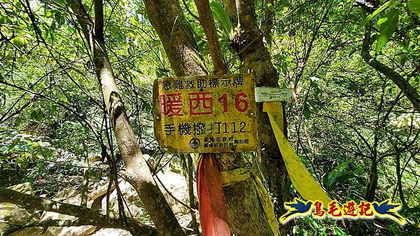 暖東峽谷-東勢大崙-西勢坑古道 (43).jpg 暖東峽谷-東勢大崙-西勢坑古道 (43).jpg
