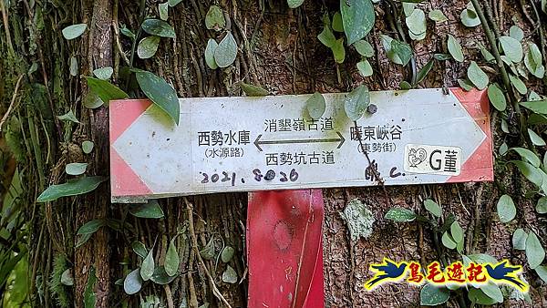 暖東峽谷-東勢大崙-西勢坑古道 (41).jpg 暖東峽谷-東勢大崙-西勢坑古道 (41).jpg