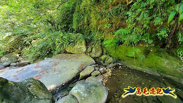 暖東峽谷-東勢大崙-西勢坑古道 (45).jpg 暖東峽谷-東勢大崙-西勢坑古道 (45).jpg