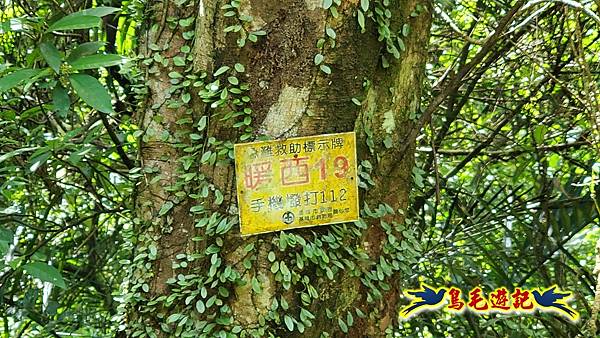 暖東峽谷-東勢大崙-西勢坑古道 (55).jpg 暖東峽谷-東勢大崙-西勢坑古道 (55).jpg
