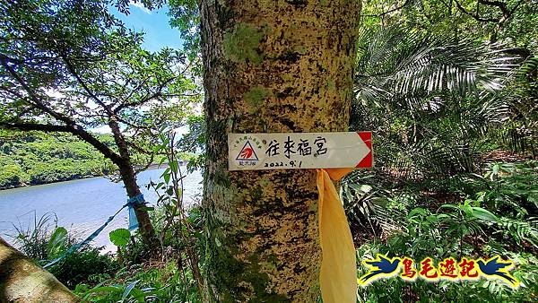 暖東峽谷-東勢大崙-西勢坑古道 (57).jpg 暖東峽谷-東勢大崙-西勢坑古道 (57).jpg