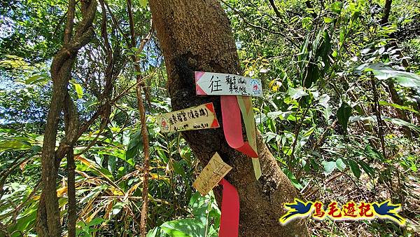 暖東峽谷-東勢大崙-西勢坑古道 (58).jpg 暖東峽谷-東勢大崙-西勢坑古道 (58).jpg