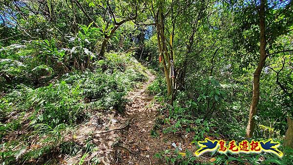 暖東峽谷-東勢大崙-西勢坑古道 (59).jpg 暖東峽谷-東勢大崙-西勢坑古道 (59).jpg