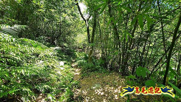 暖東峽谷-東勢大崙-西勢坑古道 (60).jpg 暖東峽谷-東勢大崙-西勢坑古道 (60).jpg