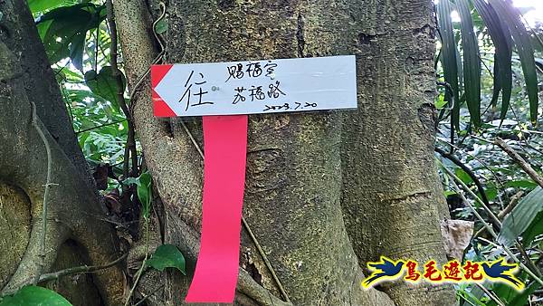 汐止茄苳瀑布-和尚頭山-茄苳古道 (19).jpg