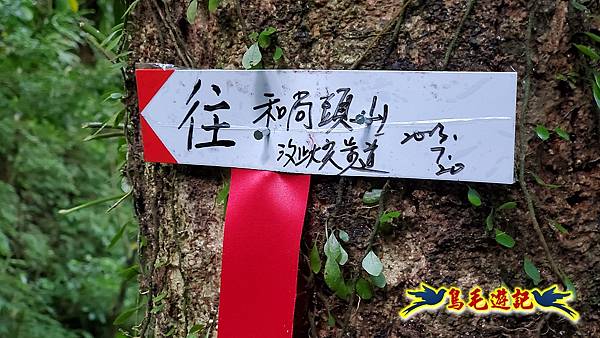 汐止茄苳瀑布-和尚頭山-茄苳古道 (25).jpg