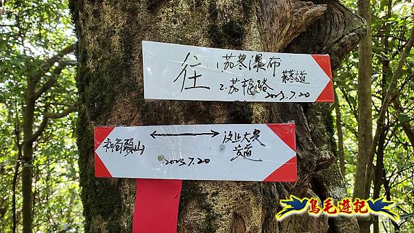 汐止茄苳瀑布-和尚頭山-茄苳古道 (34).jpg