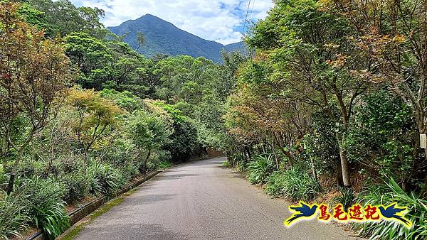 竿尾崙古道%26;茄苳坑古道 (4).jpg