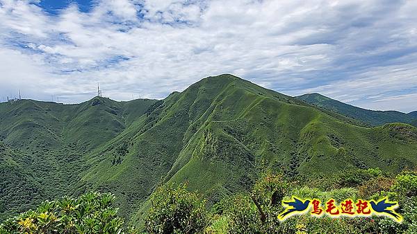 竿尾崙古道%26;茄苳坑古道 (31).jpg