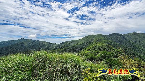 竿尾崙古道%26;茄苳坑古道 (33).jpg