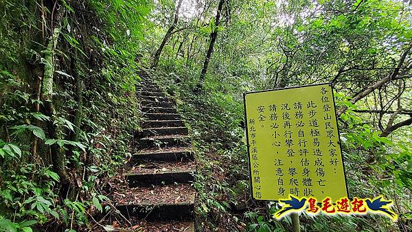 平溪慈恩嶺普陀山-峭壁上的精靈 (6).jpg