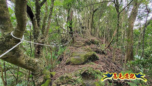 平溪慈恩嶺普陀山-峭壁上的精靈 (22).jpg