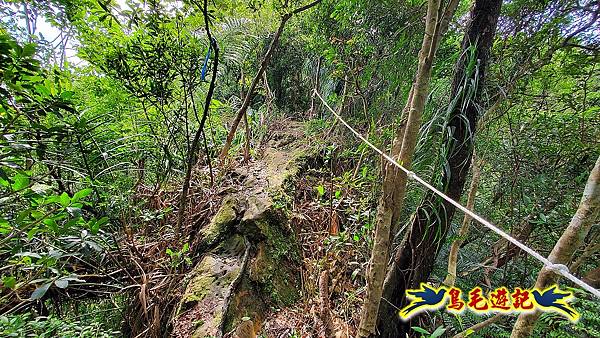 平溪慈恩嶺普陀山-峭壁上的精靈 (20).jpg