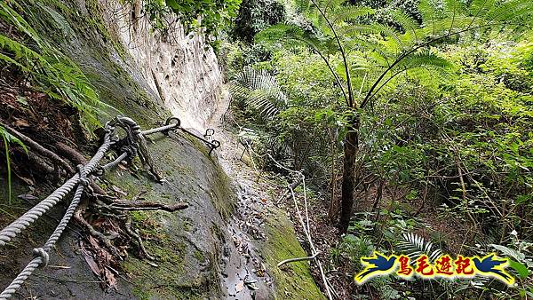 平溪慈恩嶺普陀山-峭壁上的精靈 (34).jpg