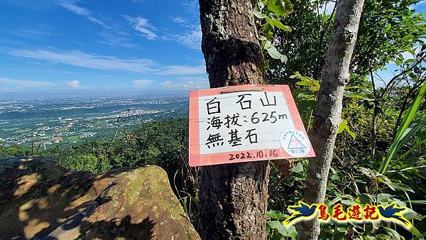 大溪白石山訪艷紅鹿子百合 (38).jpg