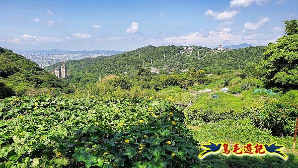 半嶺水圳步道-松溪瀑布 (7).jpg