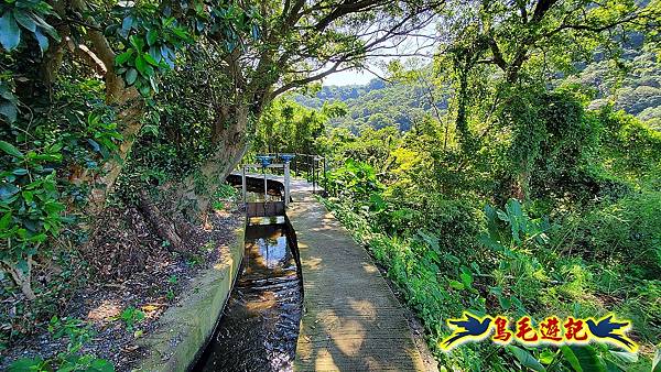 半嶺水圳步道-松溪瀑布 (8).jpg