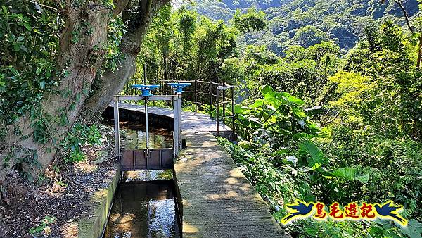 半嶺水圳步道-松溪瀑布 (9).jpg