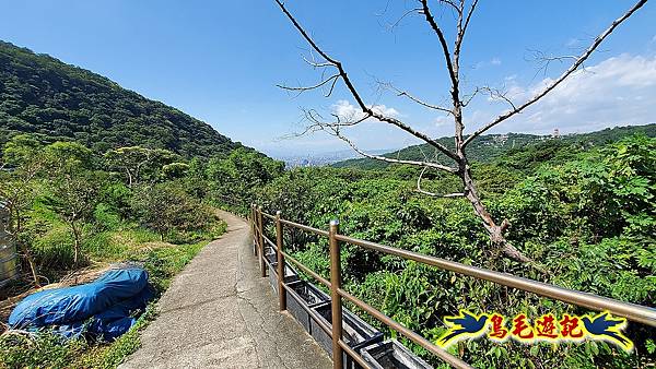 半嶺水圳步道-松溪瀑布 (42).jpg