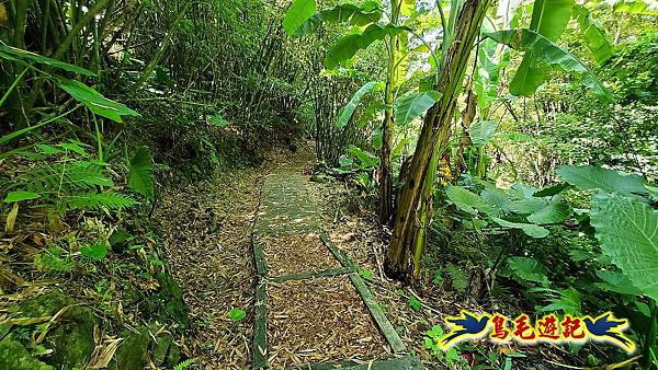 半嶺水圳步道-松溪瀑布 (47).jpg