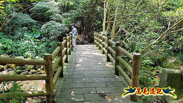 半嶺水圳步道-松溪瀑布 (53).jpg